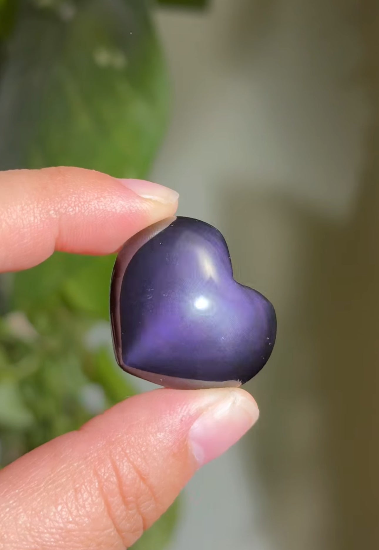 
                  
                    RESERVED LISTING - kelseyplanslife
                  
                