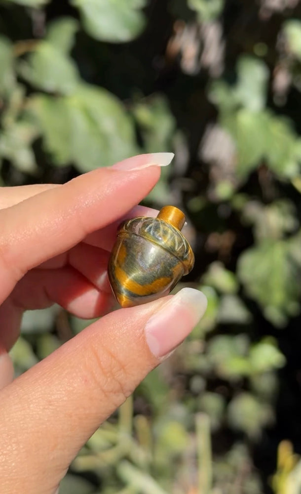 
                  
                    RESERVED LISTING - leftoverlexapro 4/4
                  
                