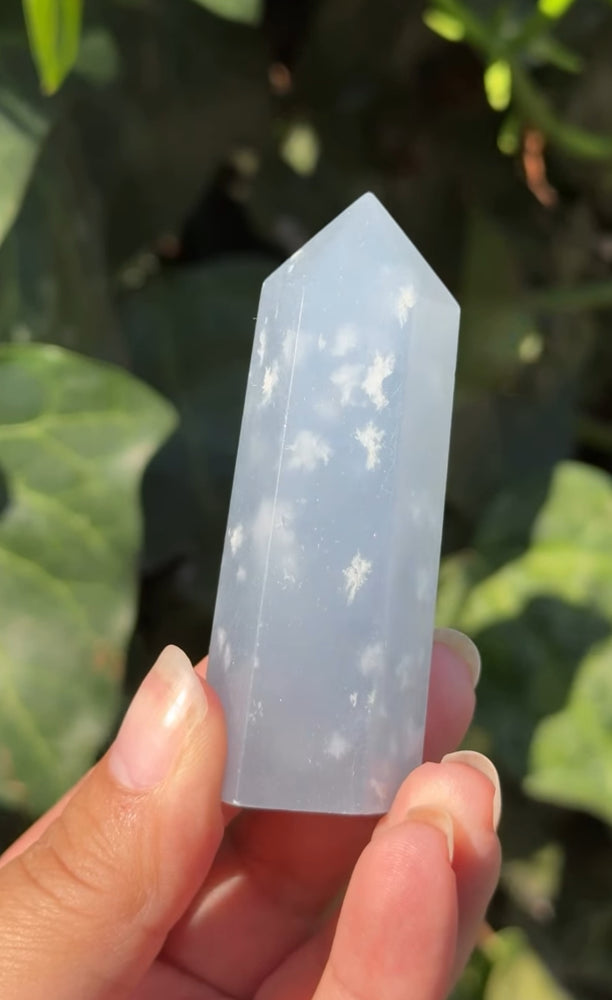 
                  
                    RESERVED LISTING - c_genesisallison87
                  
                