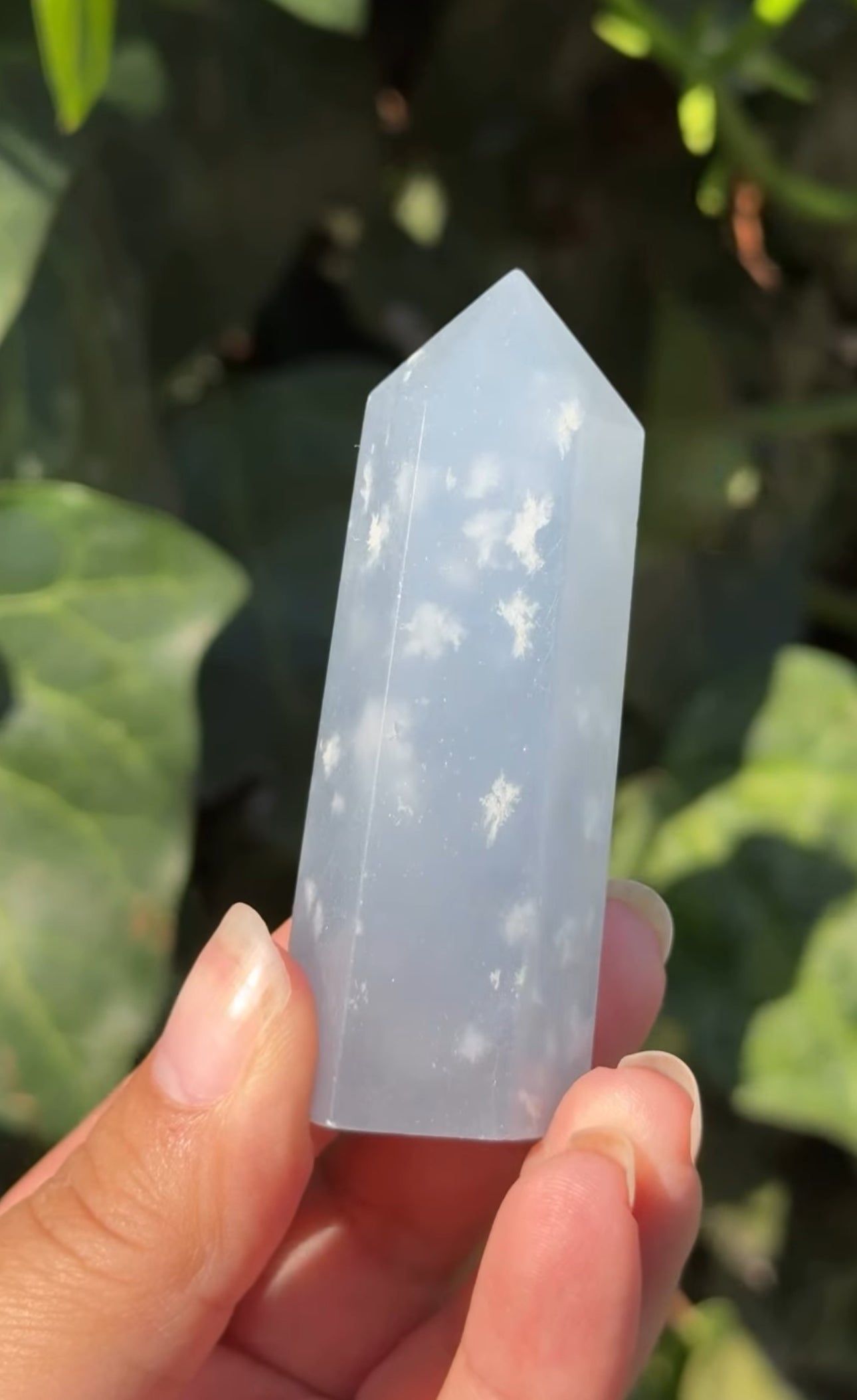 
                  
                    RESERVED LISTING - c_genesisallison87
                  
                