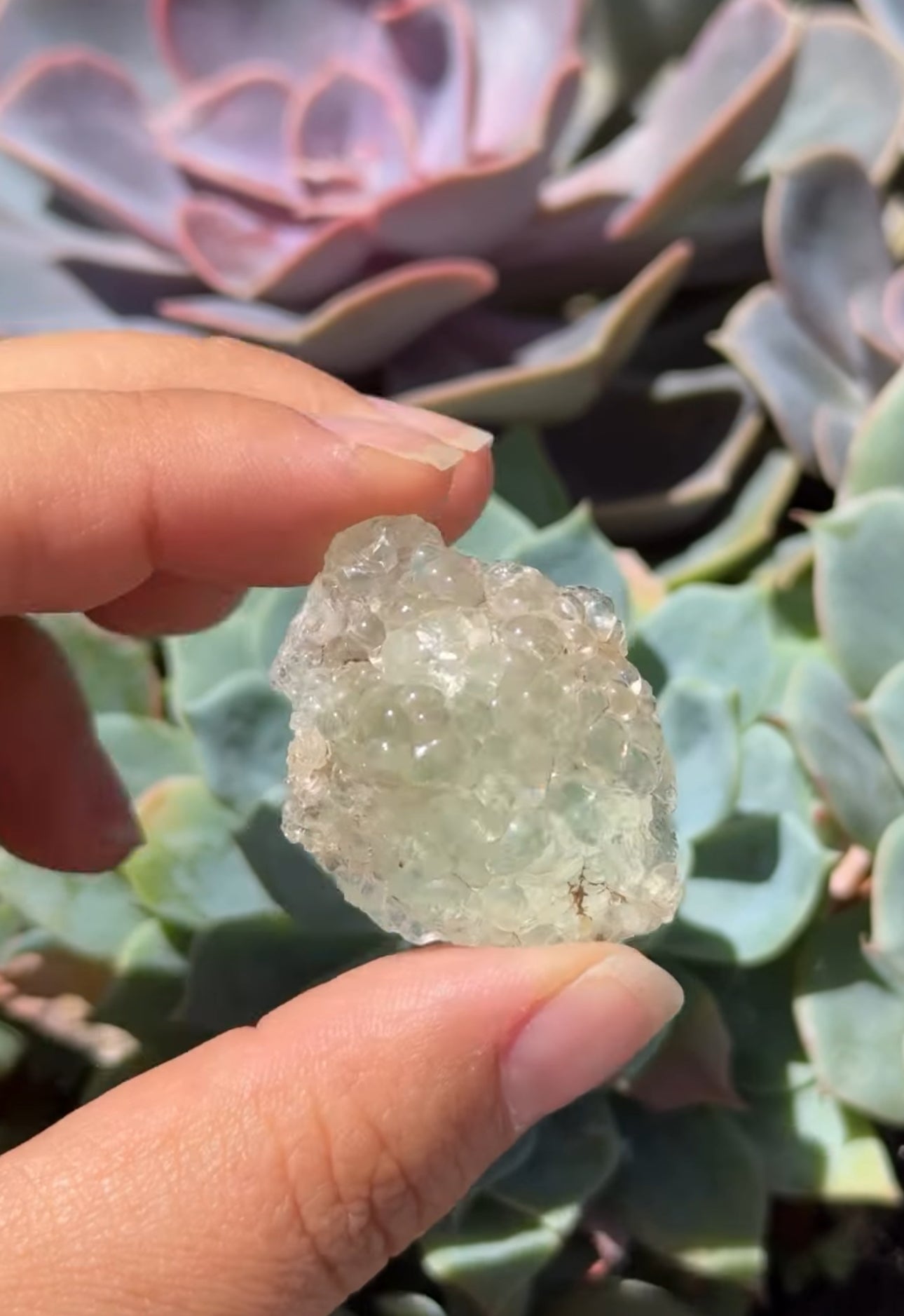 
                  
                    RESERVED LISTING - erinfetz
                  
                