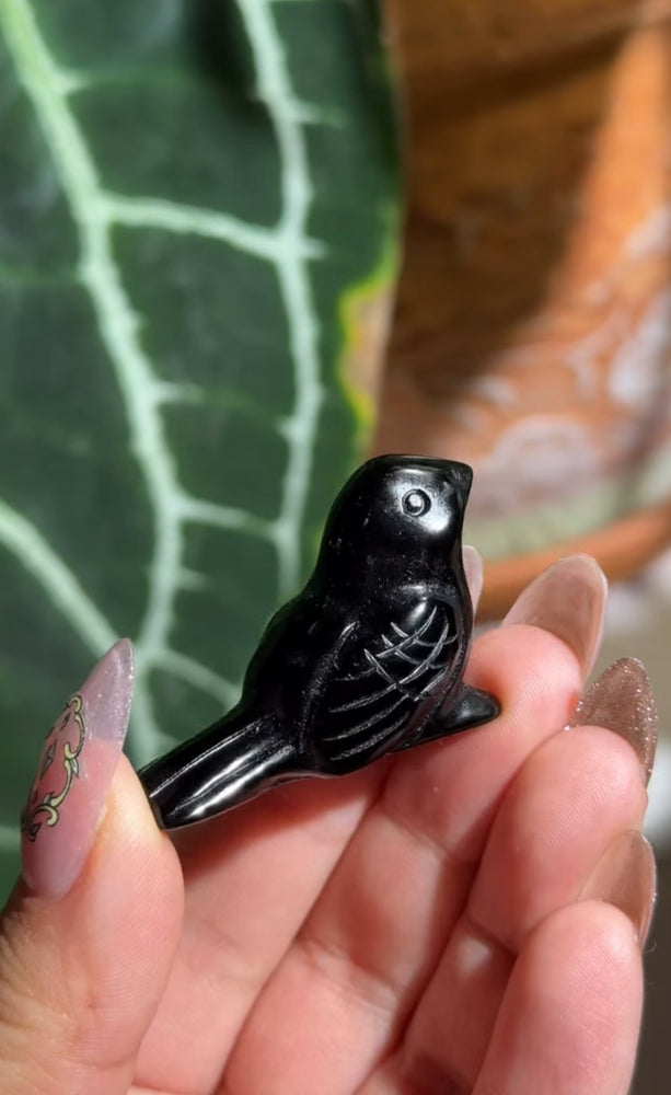 
                  
                    RESERVED LISTING - loliastardust
                  
                