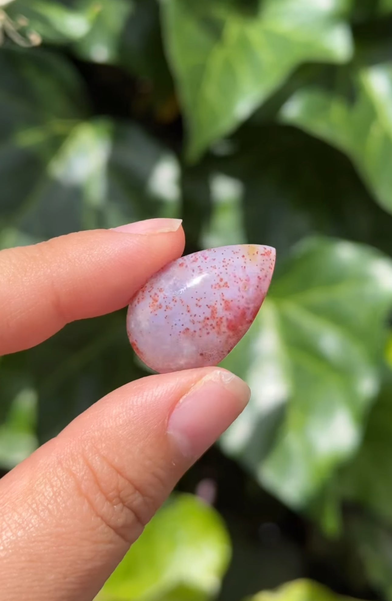 
                  
                    RESERVED LISTING - im_just_walkin_here
                  
                