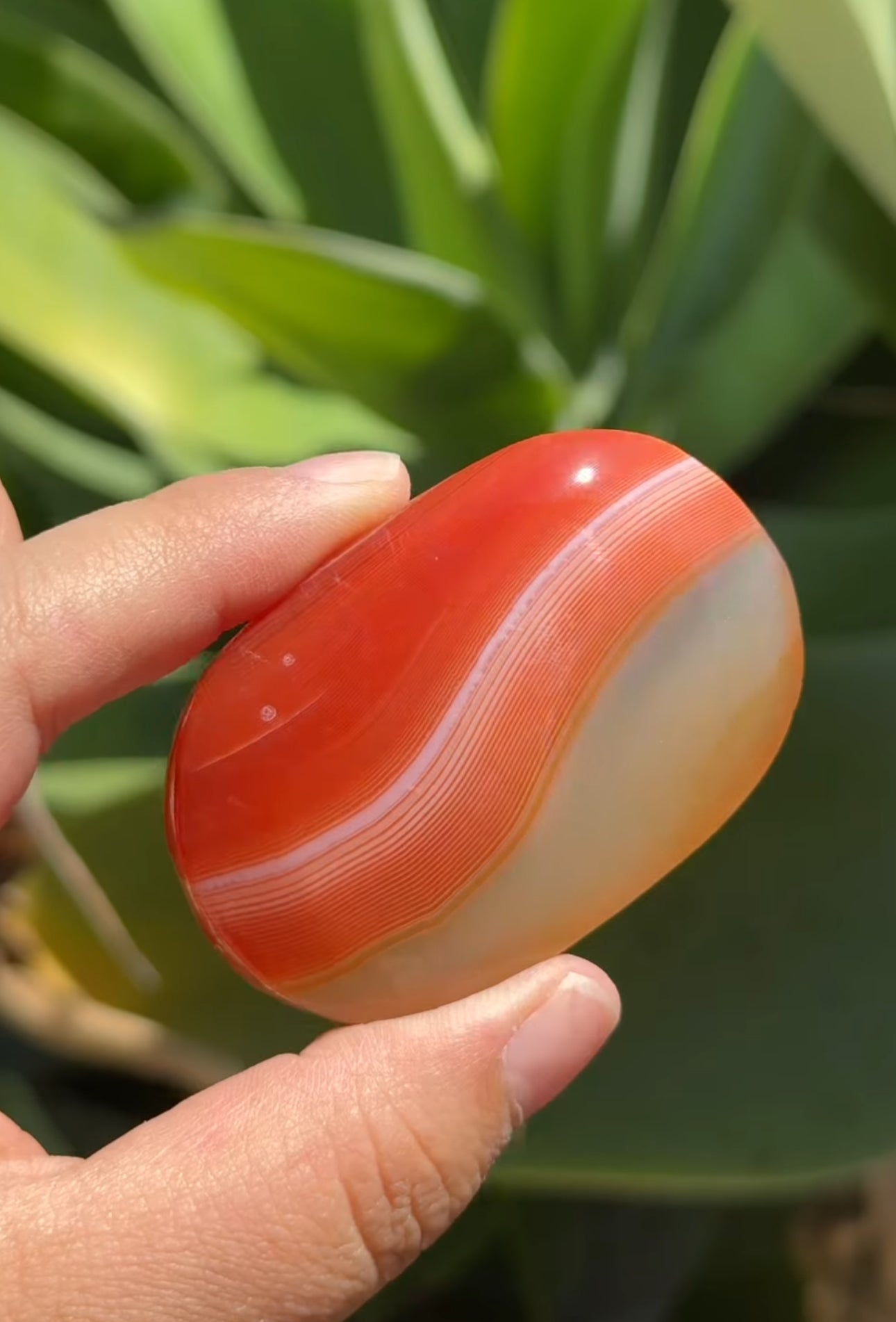 
                  
                    RESERVED LISTING - kelseyplanslife
                  
                