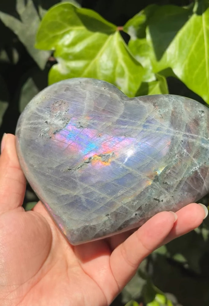 
                  
                    RESERVED LISTING - catniss_evergreen
                  
                