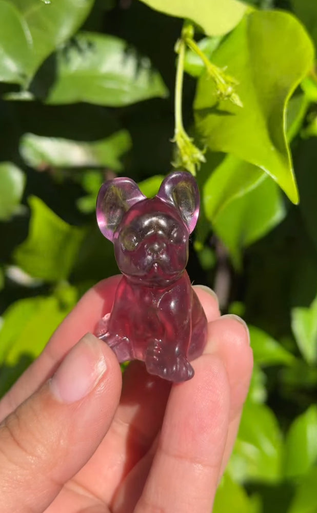 
                  
                    RESERVED LISTING - jvalentine9x
                  
                