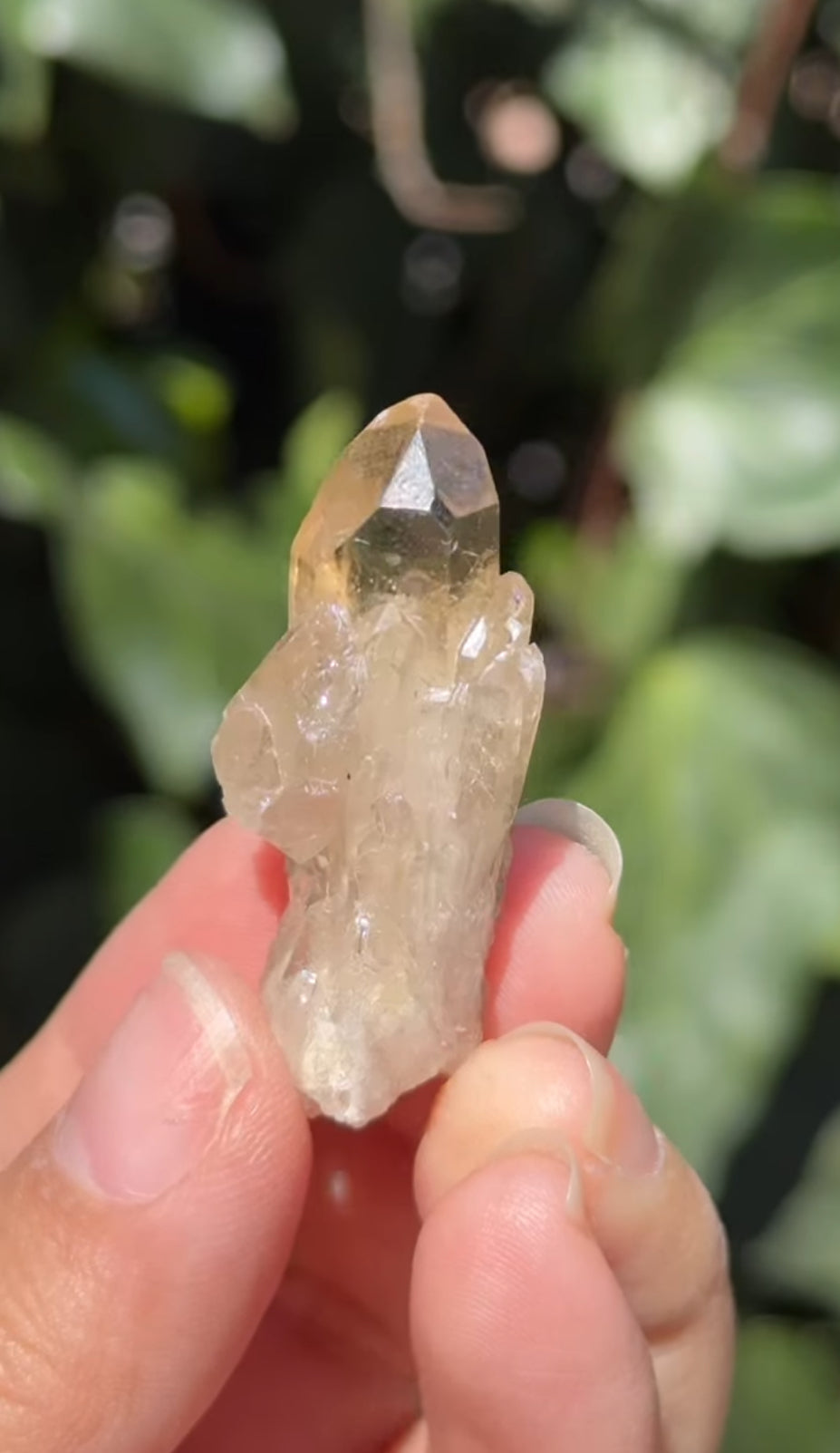 
                  
                    RESERVED LISTING - rae_in_wonderland
                  
                