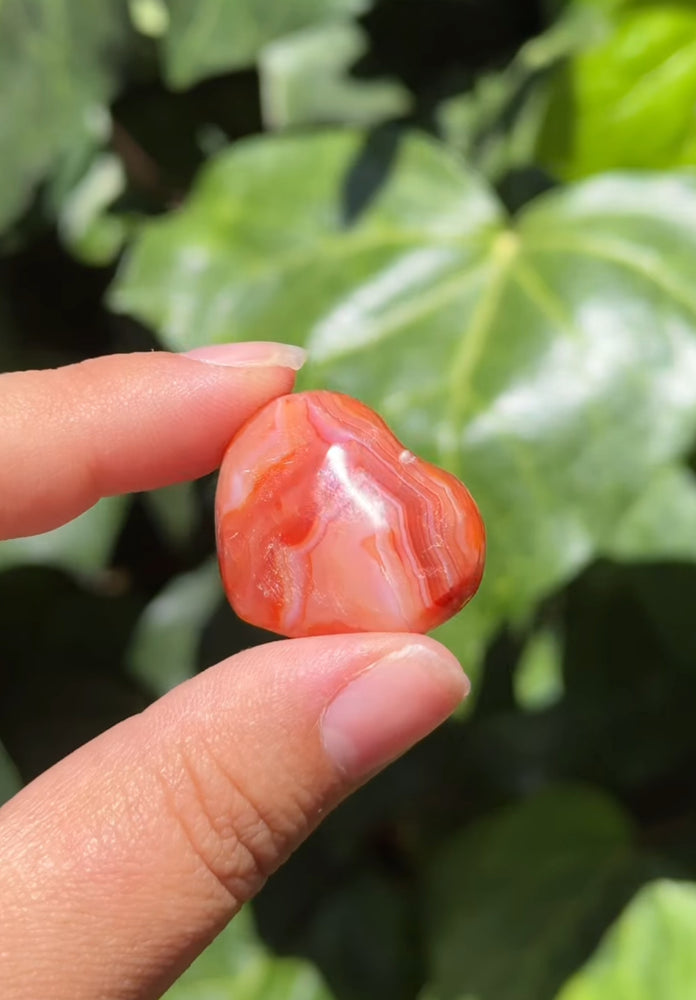 
                  
                    RESERVED LISTING - ak_miller226
                  
                