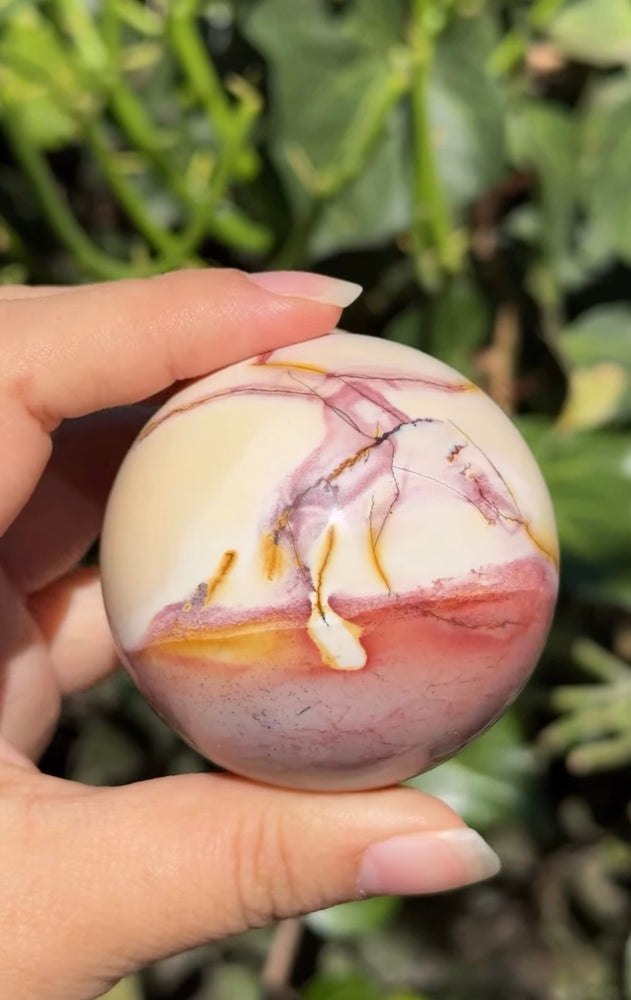 
                  
                    RESERVED LISTING - apollo
                  
                