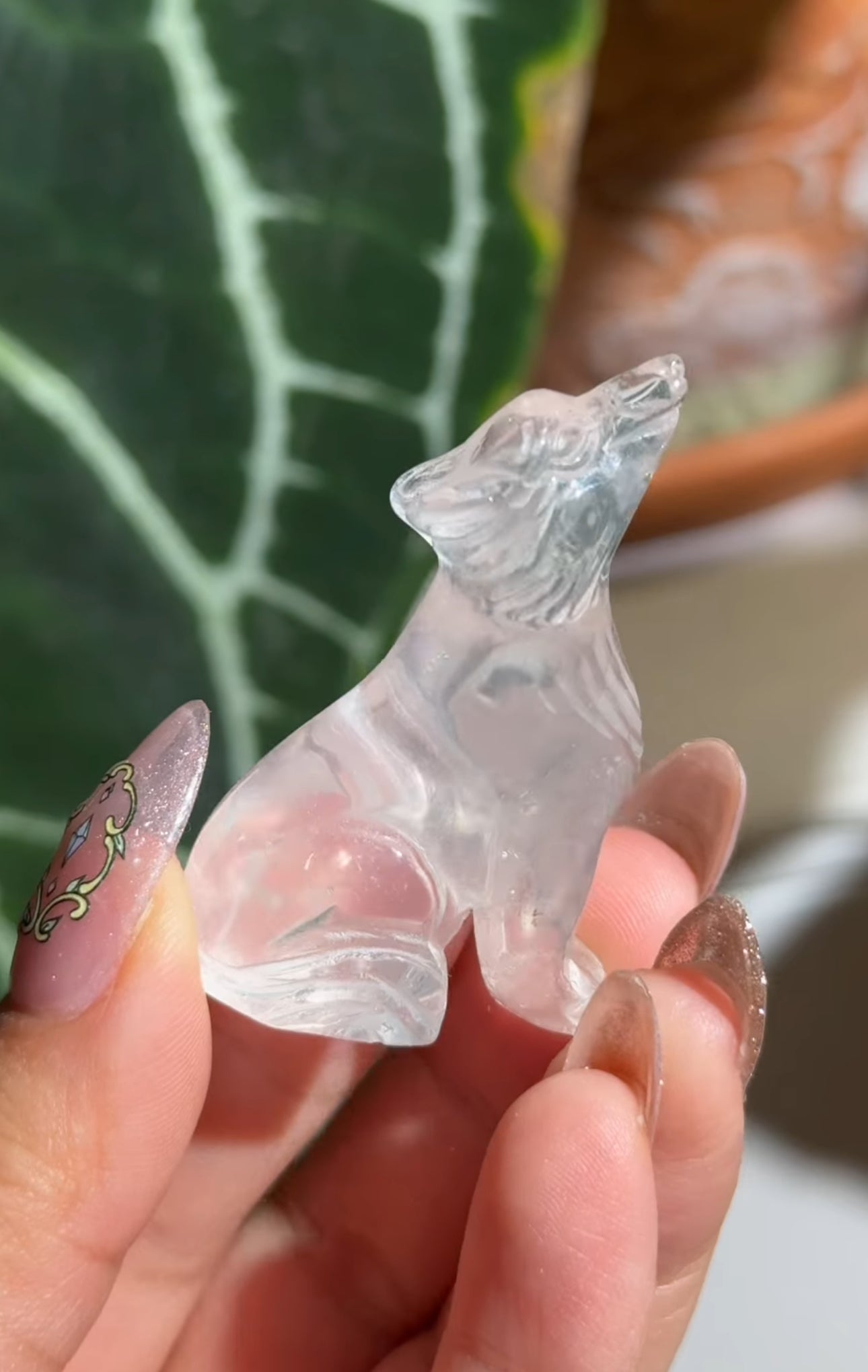 
                  
                    RESERVED LISTING - kelseyplanslife
                  
                