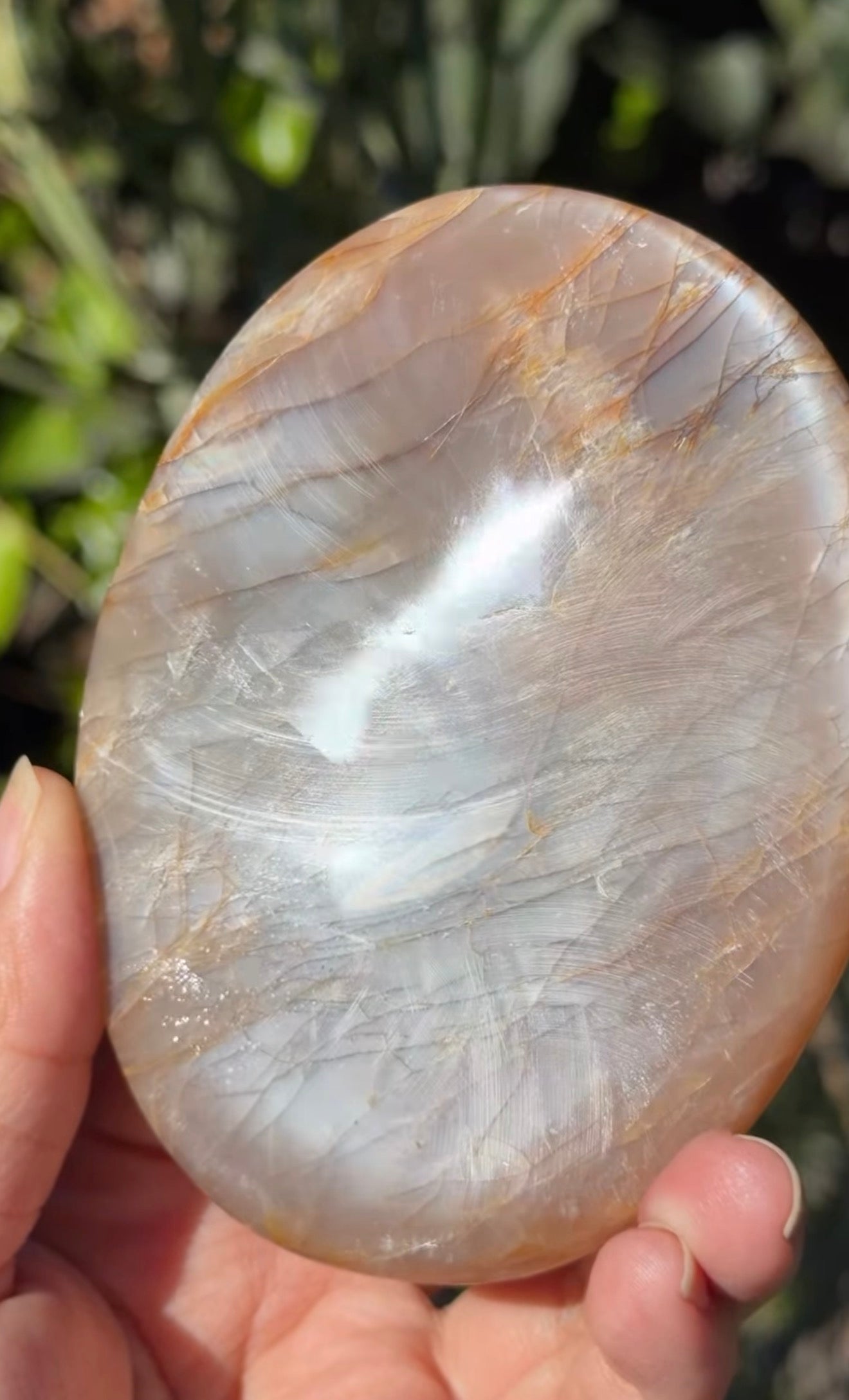 
                  
                    RESERVED LISTING - taoofraychel
                  
                