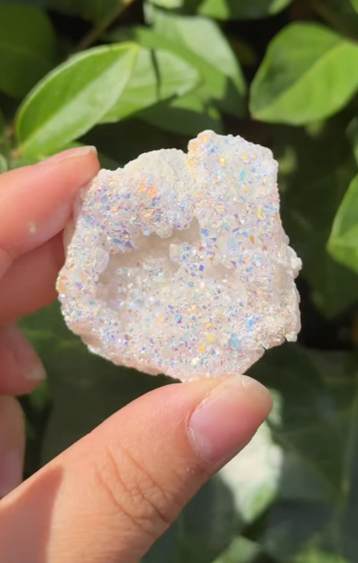 
                  
                    RESERVED LISTING - kiwi.elbow
                  
                