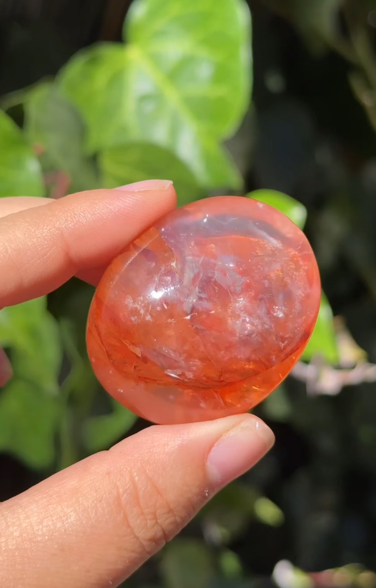 
                  
                    RESERVED LISTING - im_just_walkin_here
                  
                