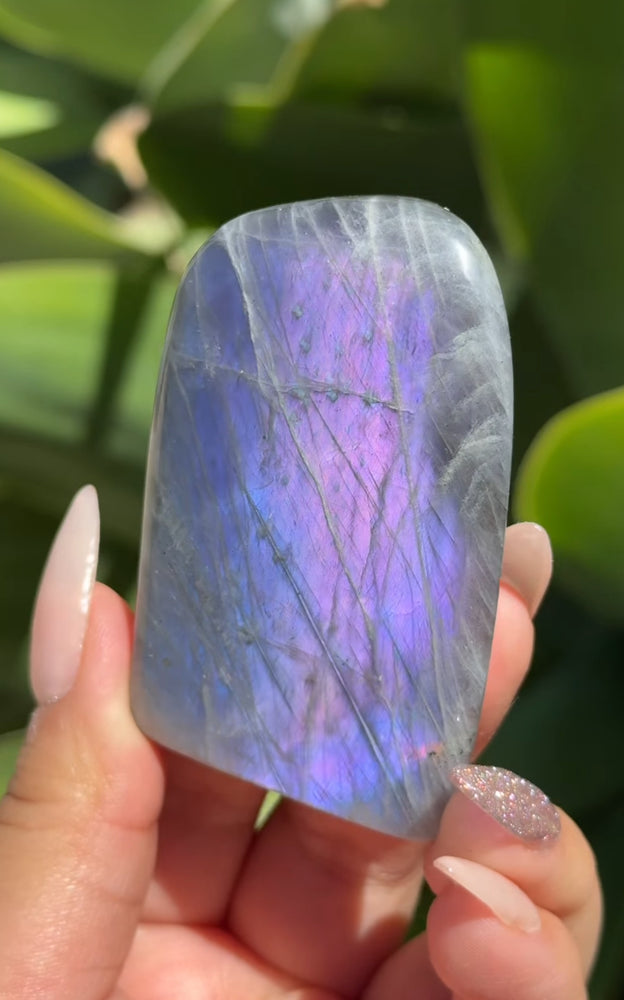 
                  
                    RESERVED LISTING - rosenightshadow
                  
                