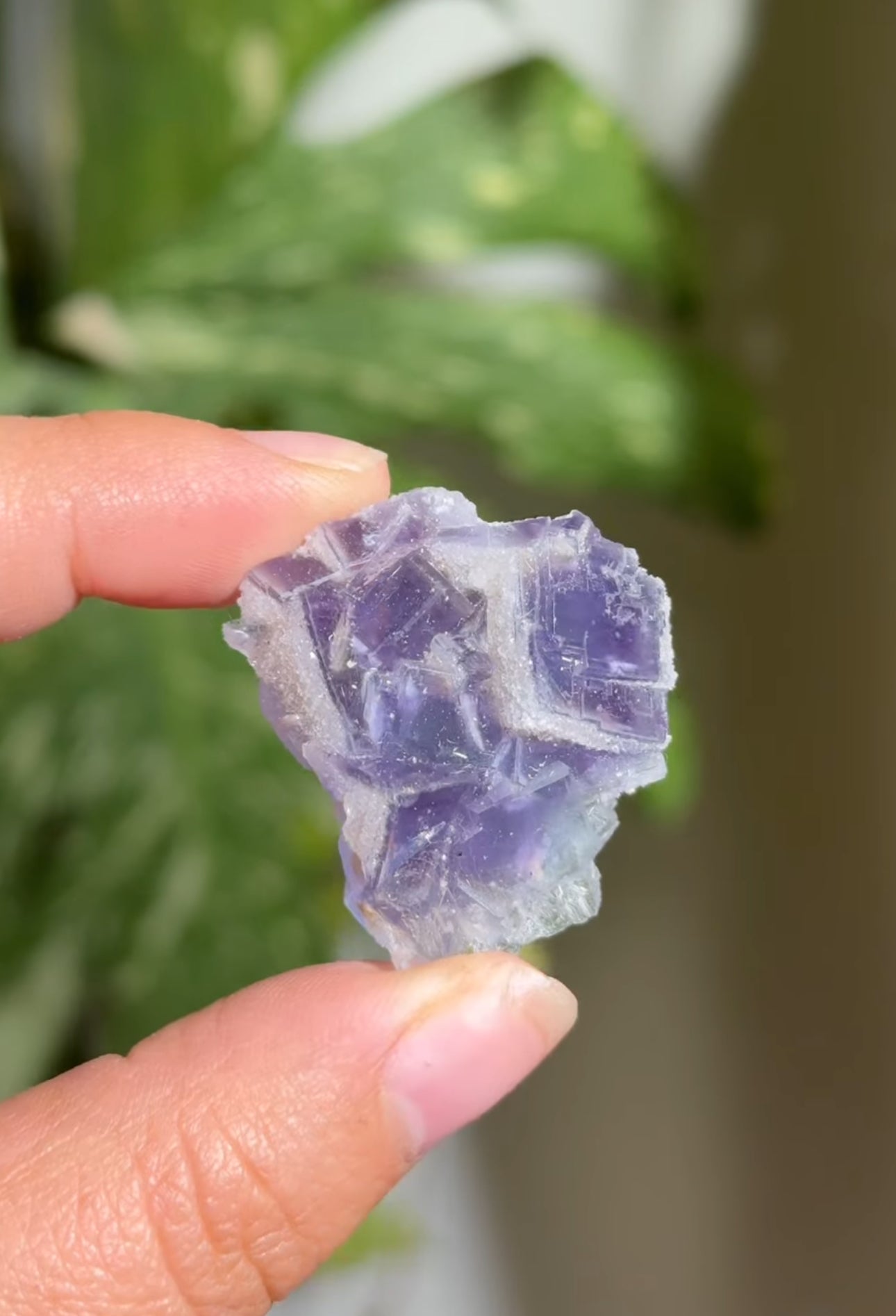 
                  
                    RESERVED LISTING - moonchu_
                  
                