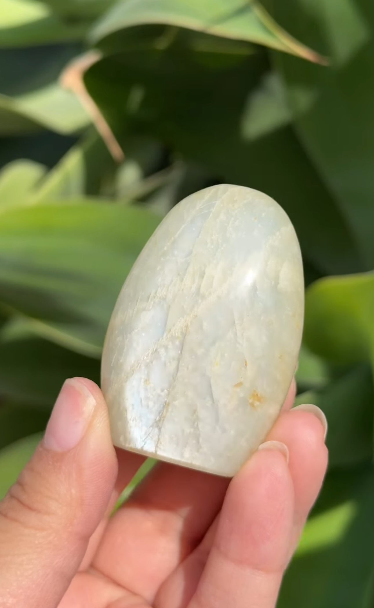 
                  
                    RESERVED LISTING - wildfire.witch
                  
                