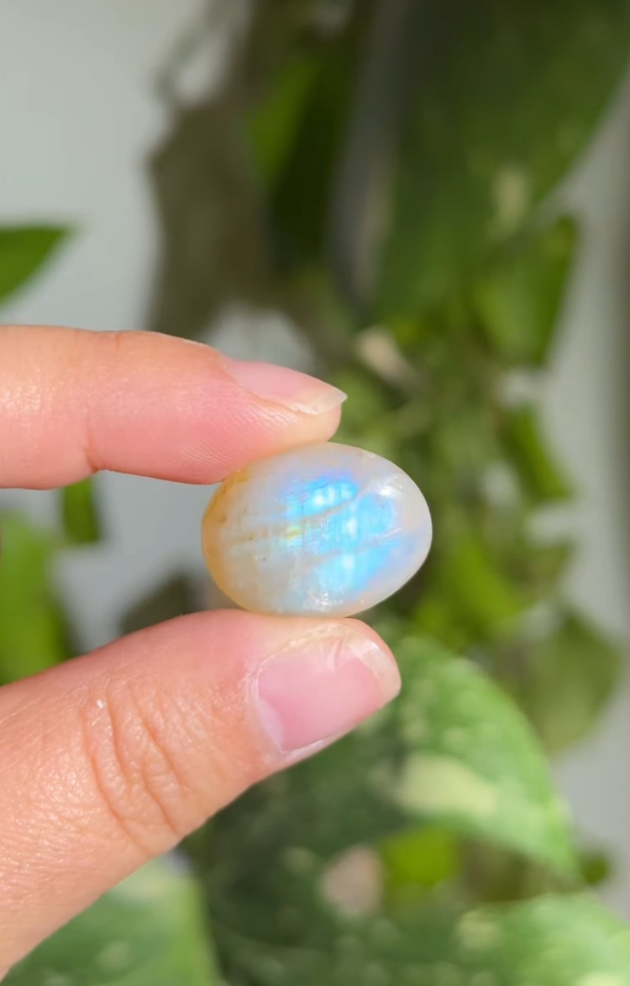 
                  
                    RESERVED LISTING - afauxghost
                  
                