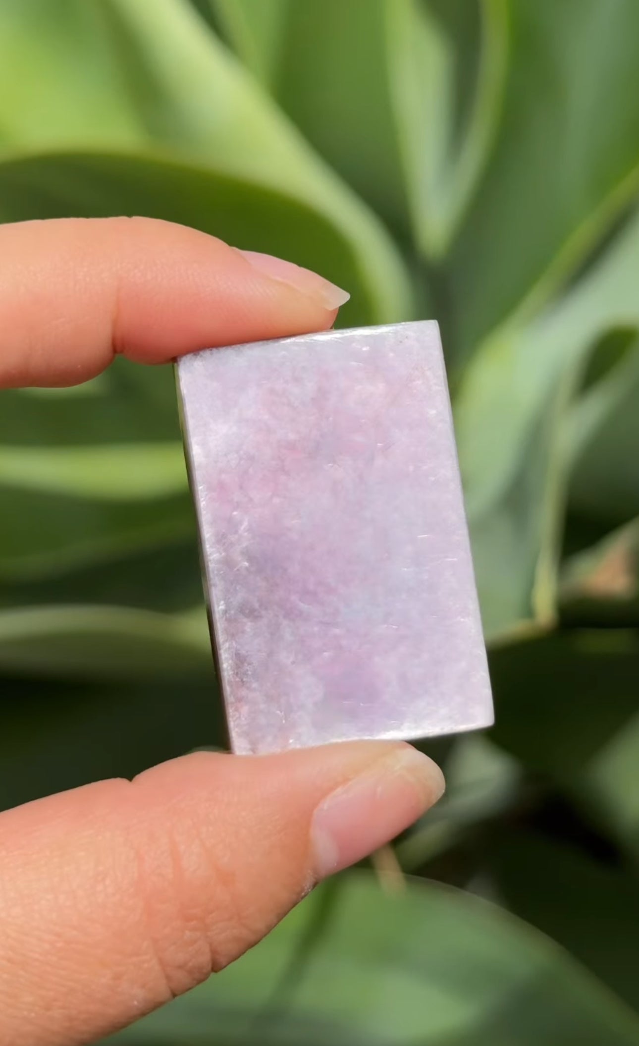 
                  
                    RESERVED LISTING - jval
                  
                