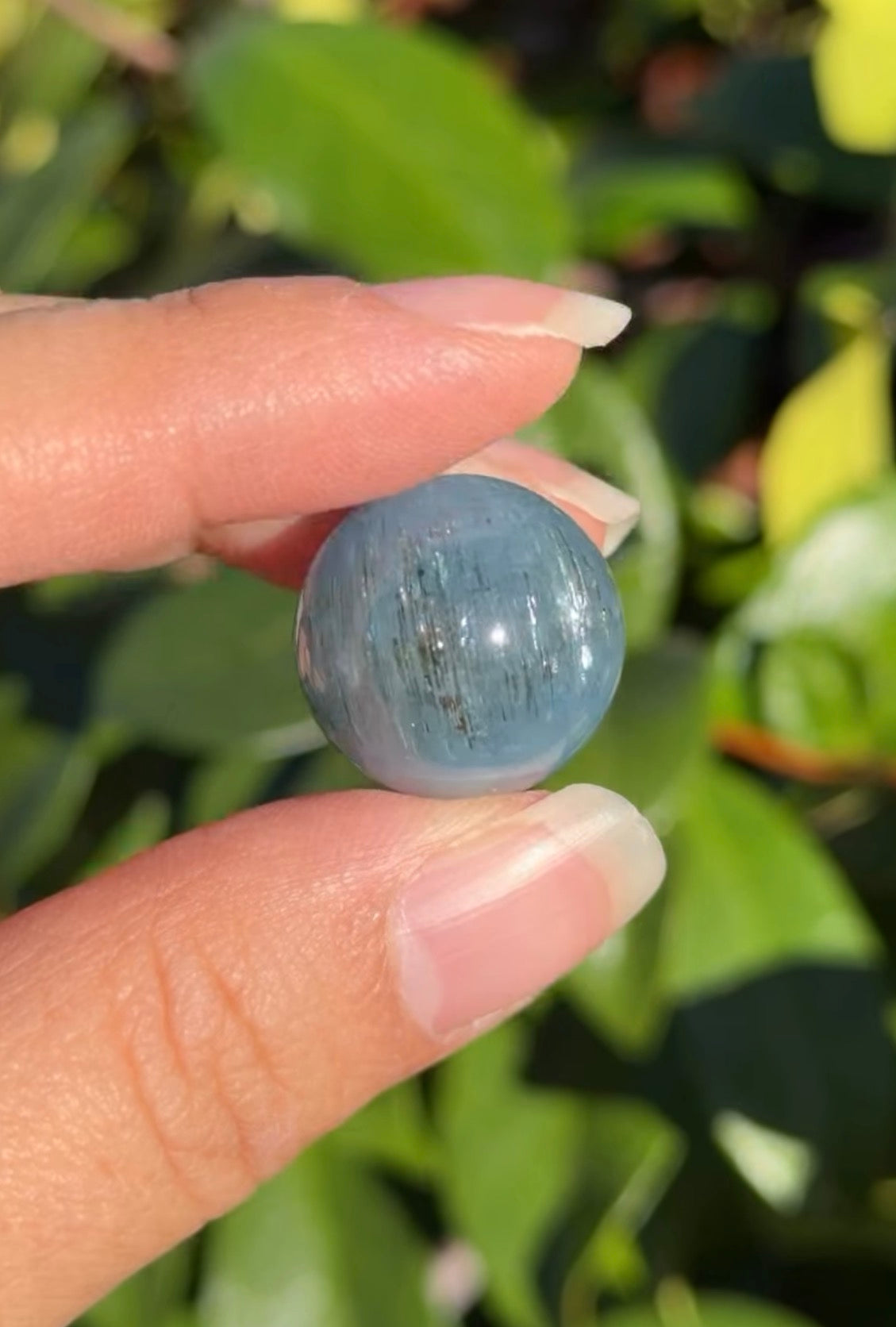 
                  
                    RESERVED LISTING - caniscurio
                  
                