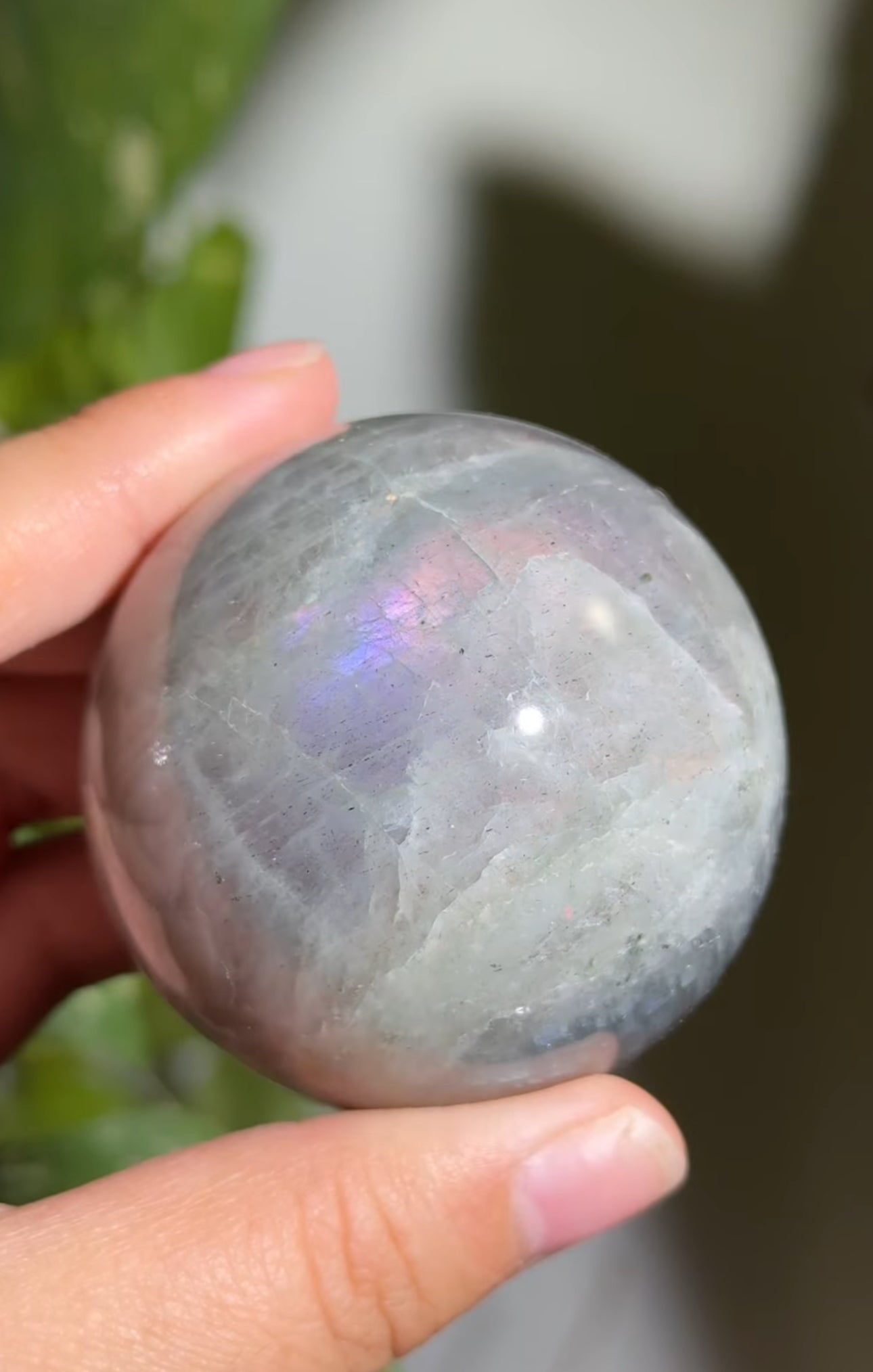 
                  
                    RESERVED LISTING - afauxghost
                  
                