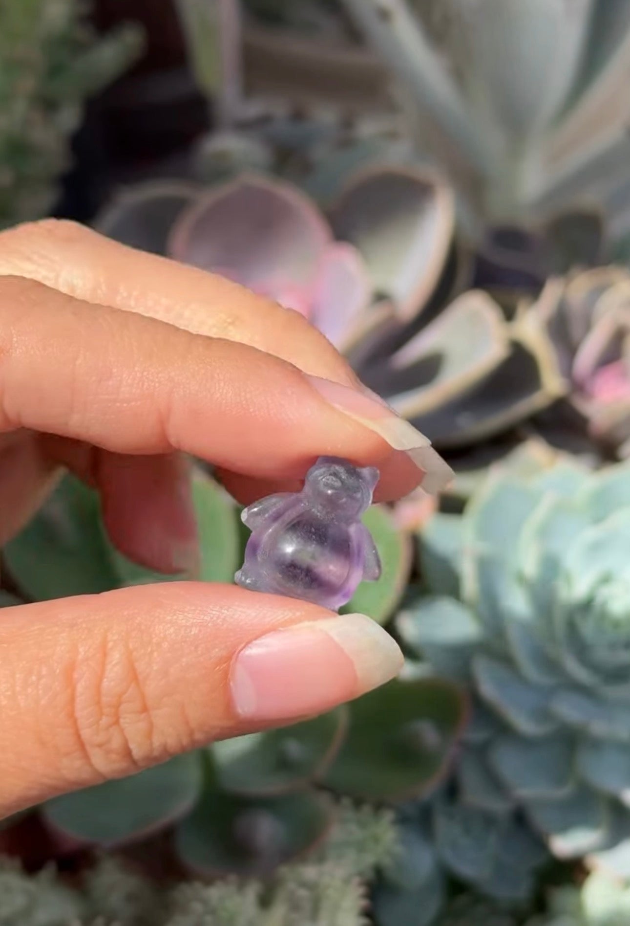 
                  
                    RESERVED LISTING - Erin
                  
                