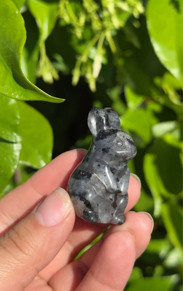 
                  
                    RESERVED LISTING - ak_miller226
                  
                