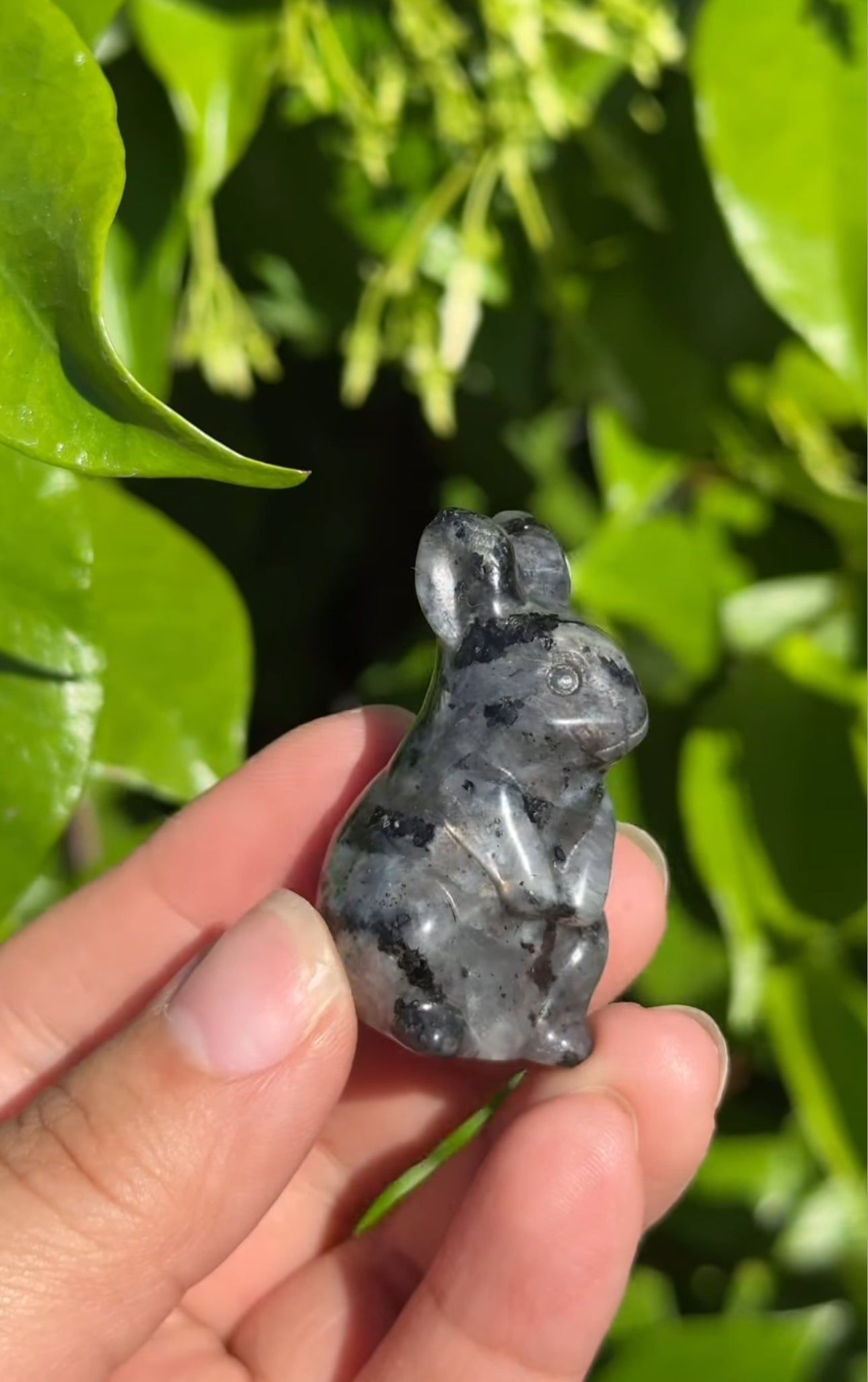 
                  
                    RESERVED LISTING - ak_miller226
                  
                