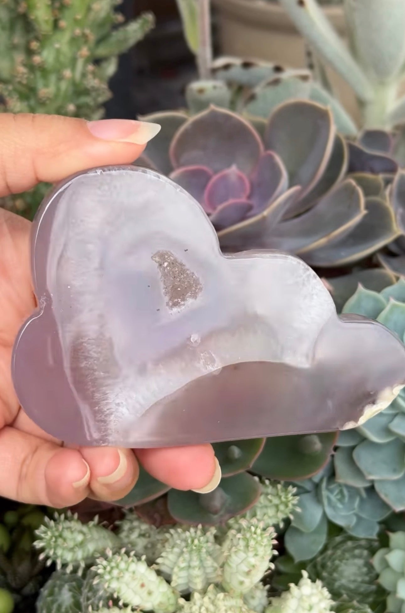 
                  
                    RESERVED LISTING - c_genesisallison87
                  
                