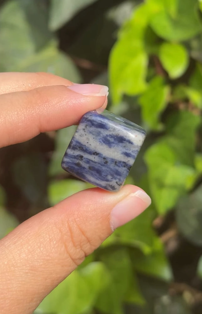 
                  
                    RESERVED LISTING - erinfetz
                  
                