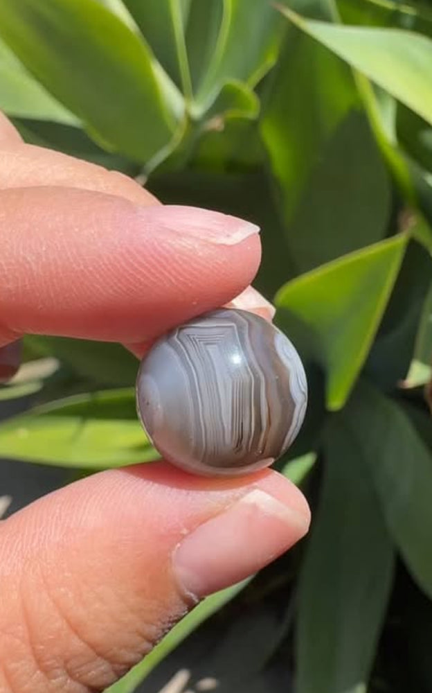 
                  
                    RESERVED LISTING - jval
                  
                