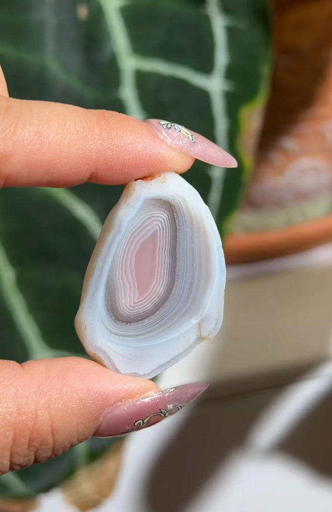 
                  
                    RESERVED LISTING - kelseyplanslife
                  
                