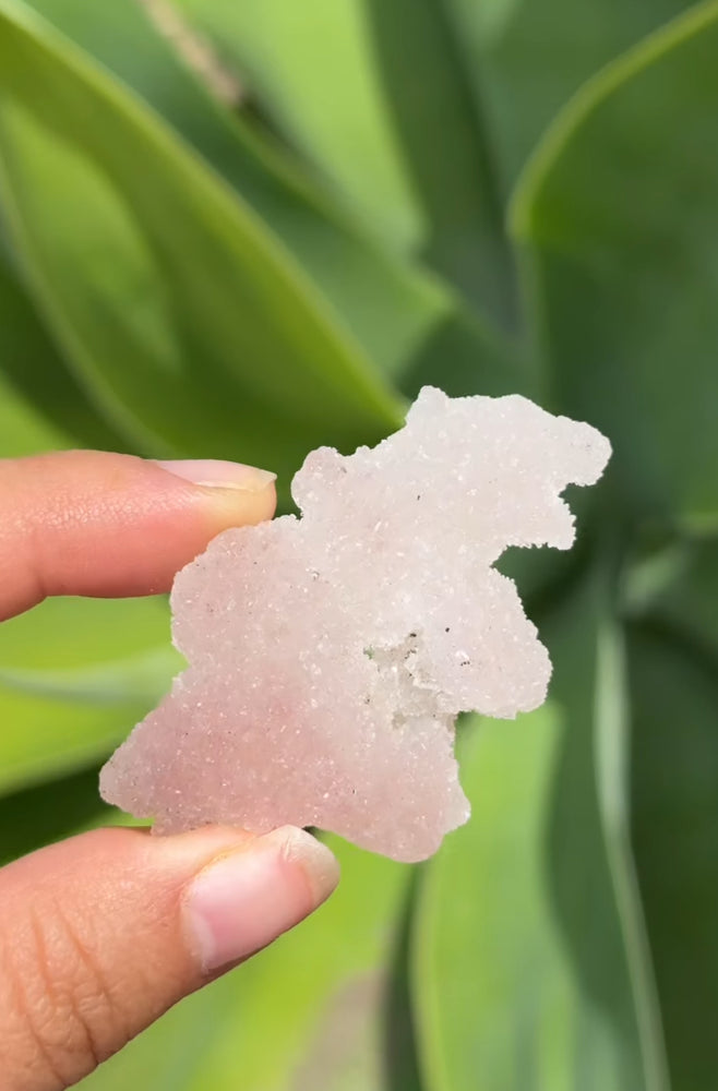 
                  
                    RESERVED LISTING - taylor.moon
                  
                