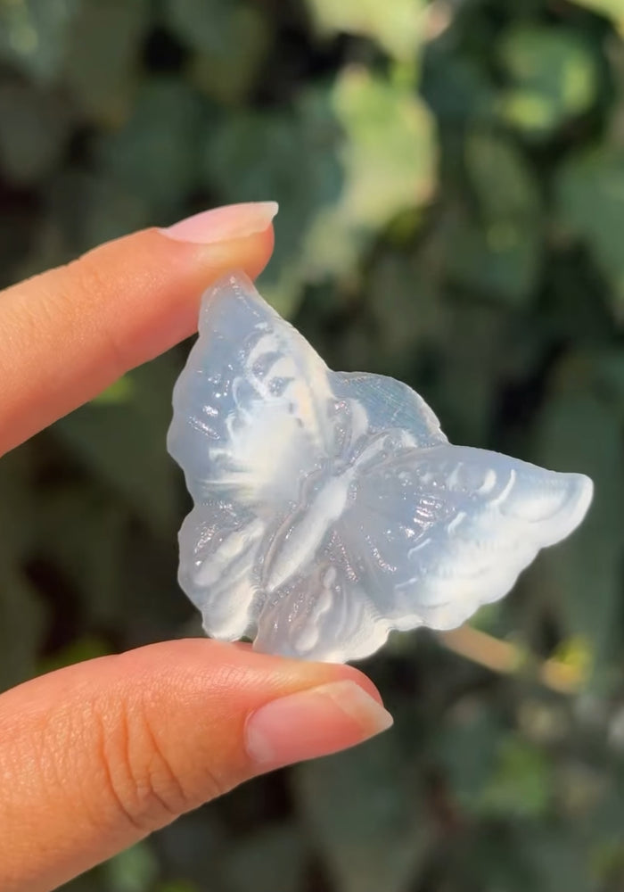 
                  
                    RESERVED LISTING - c_genesisallison87
                  
                