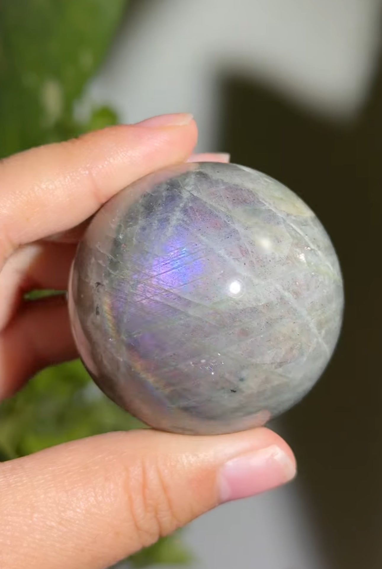 
                  
                    RESERVED LISTING - kelseyplanslife
                  
                