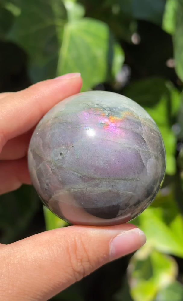 
                  
                    RESERVED LISTING - zeebme2
                  
                