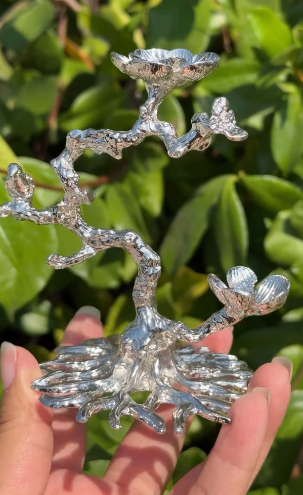 
                  
                    RESERVED LISTING - c_genesisallison87
                  
                