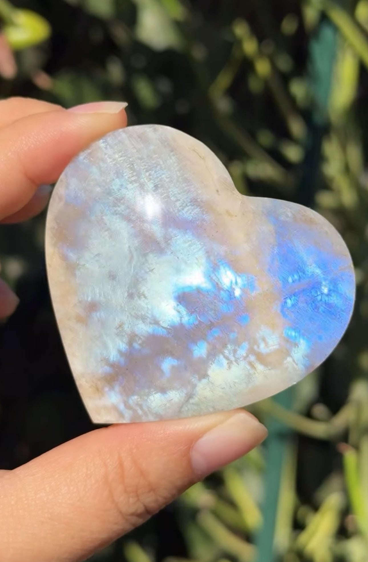 
                  
                    RESERVED LISTING - Joey.stoeckert
                  
                