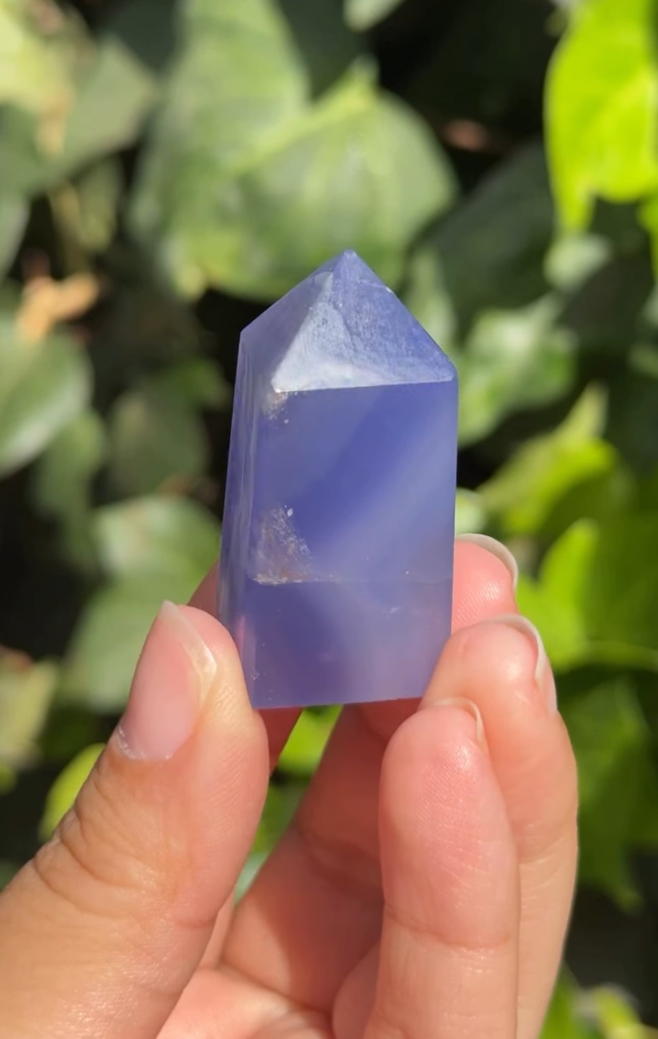 
                  
                    RESERVED LISTING - leftoverlexapro
                  
                