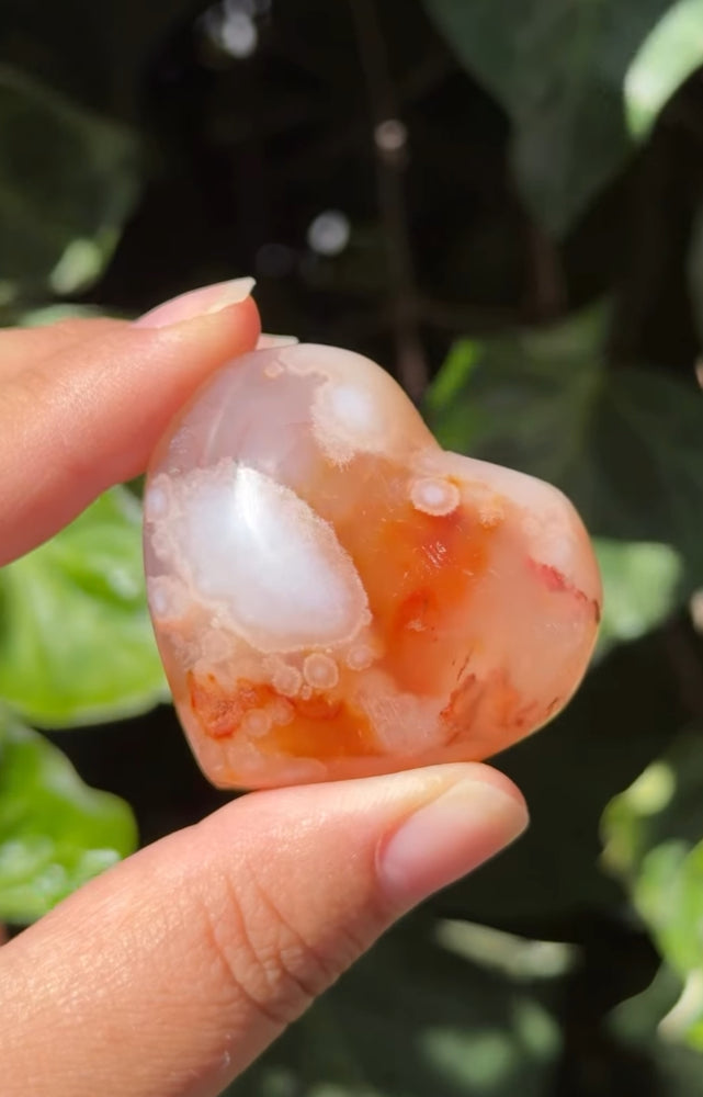 
                  
                    RESERVED LISTING - c_genesisallison87
                  
                