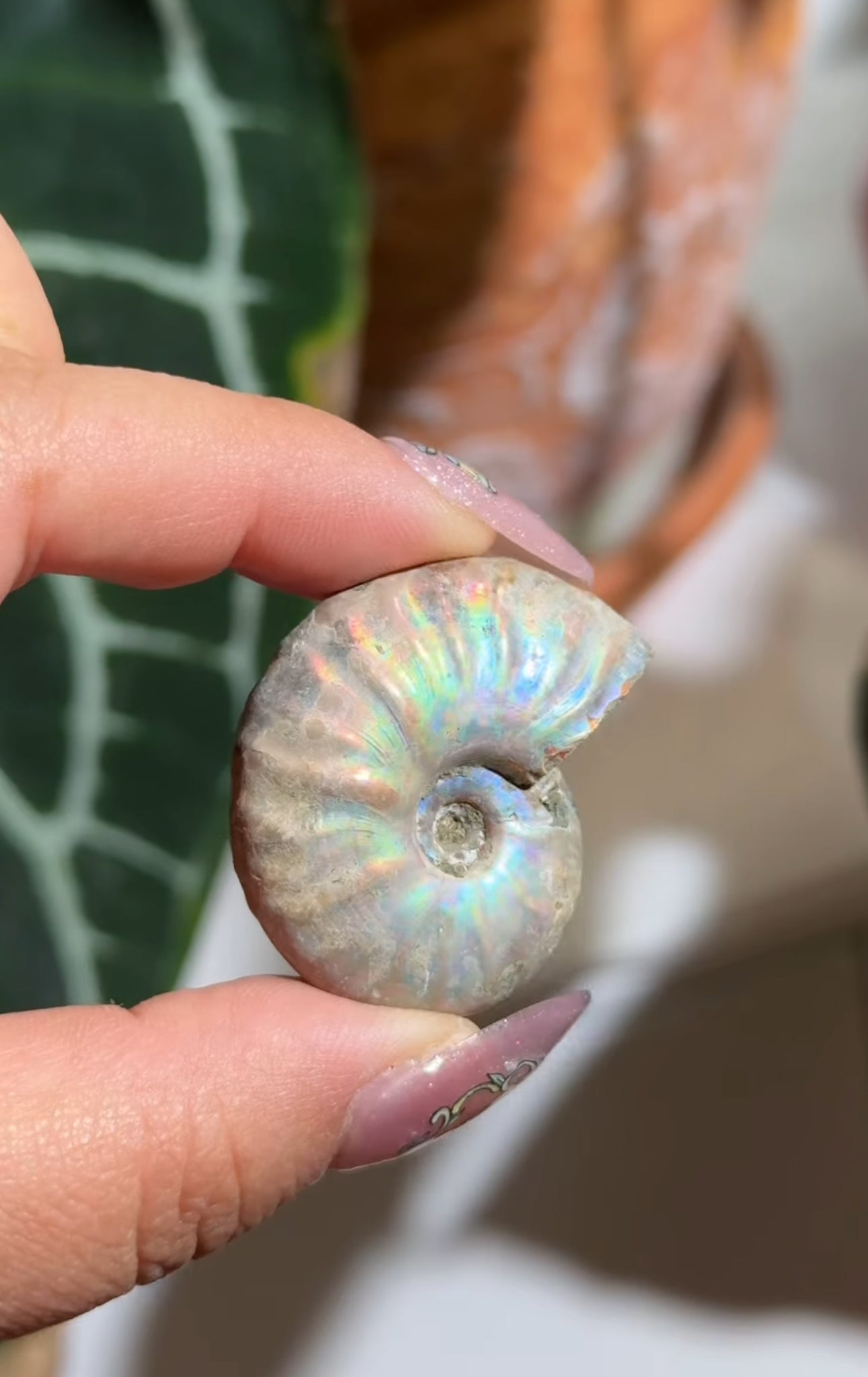 
                  
                    RESERVED LISTING - solarly_challenged
                  
                