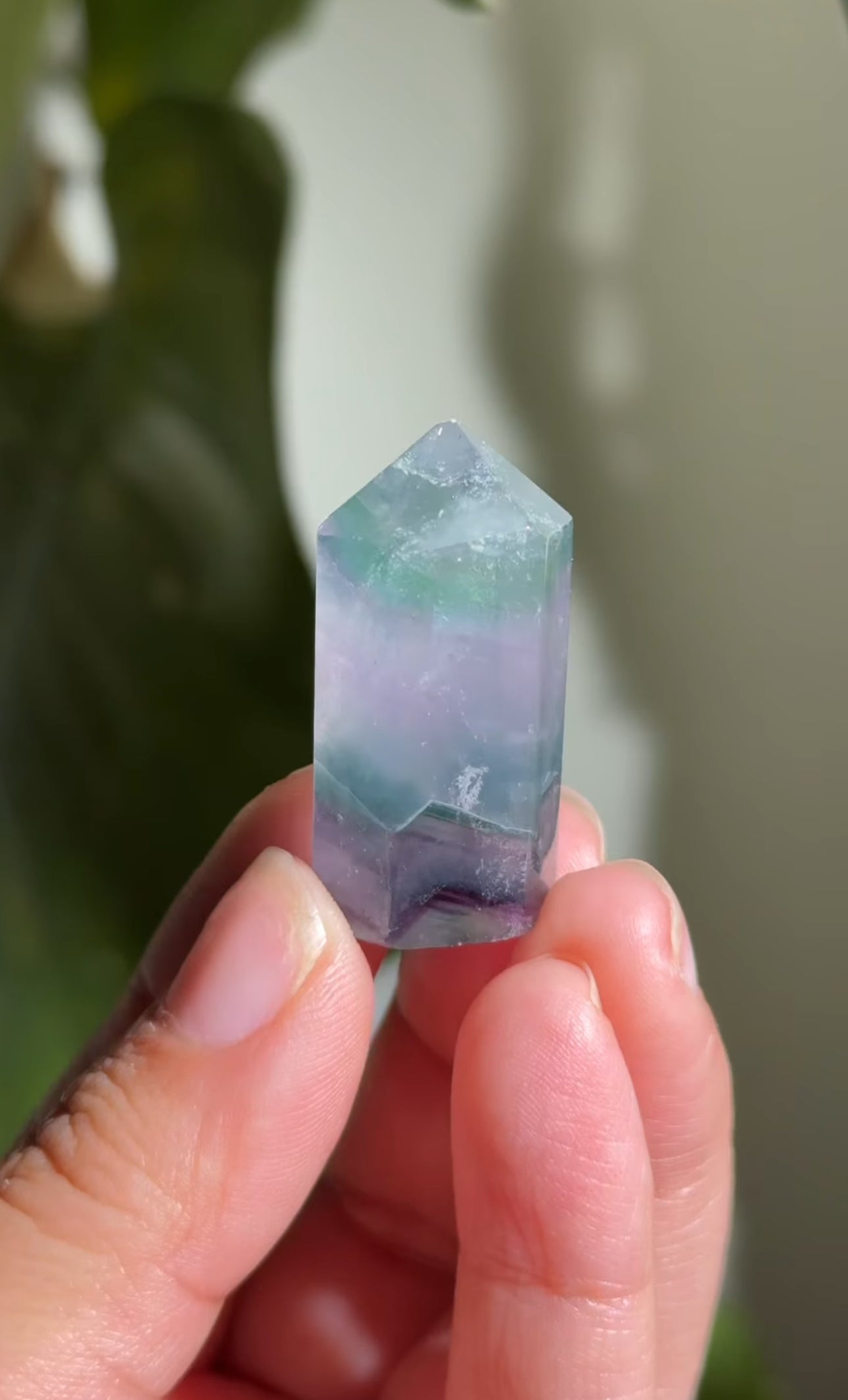 
                  
                    RESERVED LISTING - nadia_roman07
                  
                