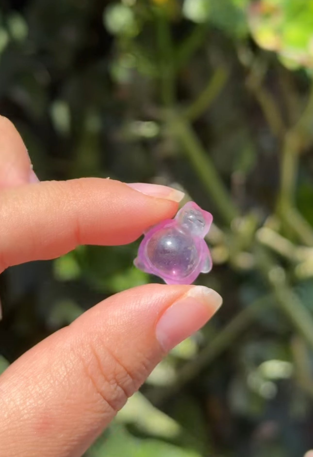 
                  
                    RESERVED LISTING - solarly_challenged
                  
                