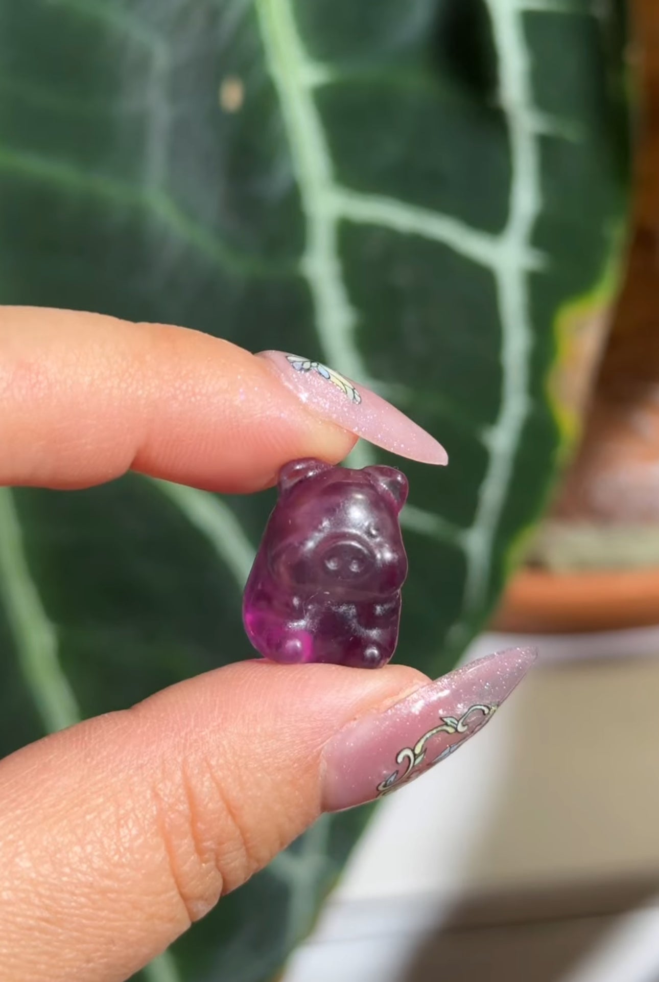 
                  
                    RESERVED LISTING - kelseyplanslife
                  
                