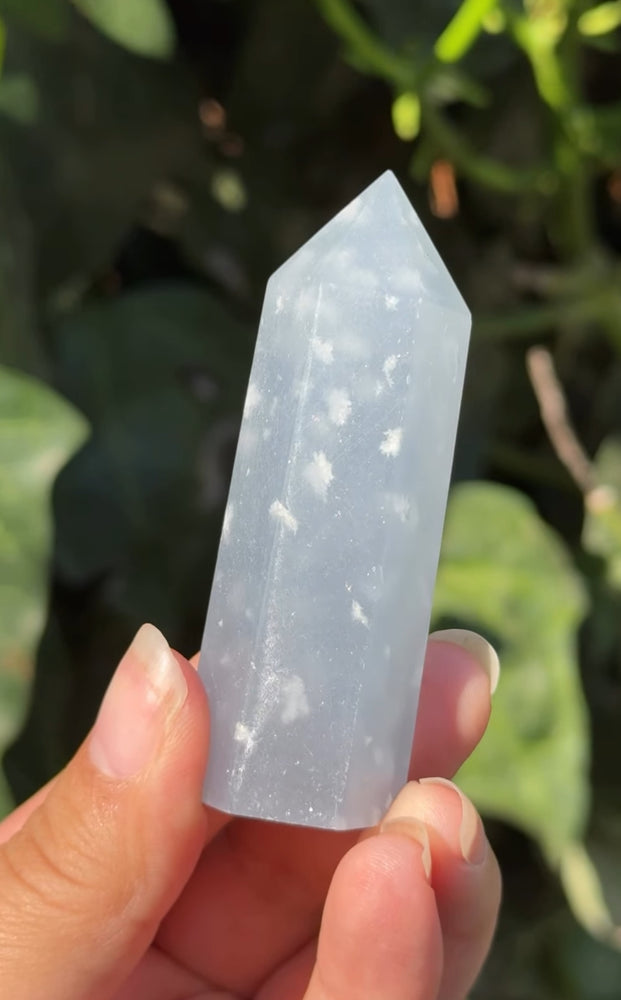 
                  
                    RESERVED LISTING - c_genesisallison87
                  
                