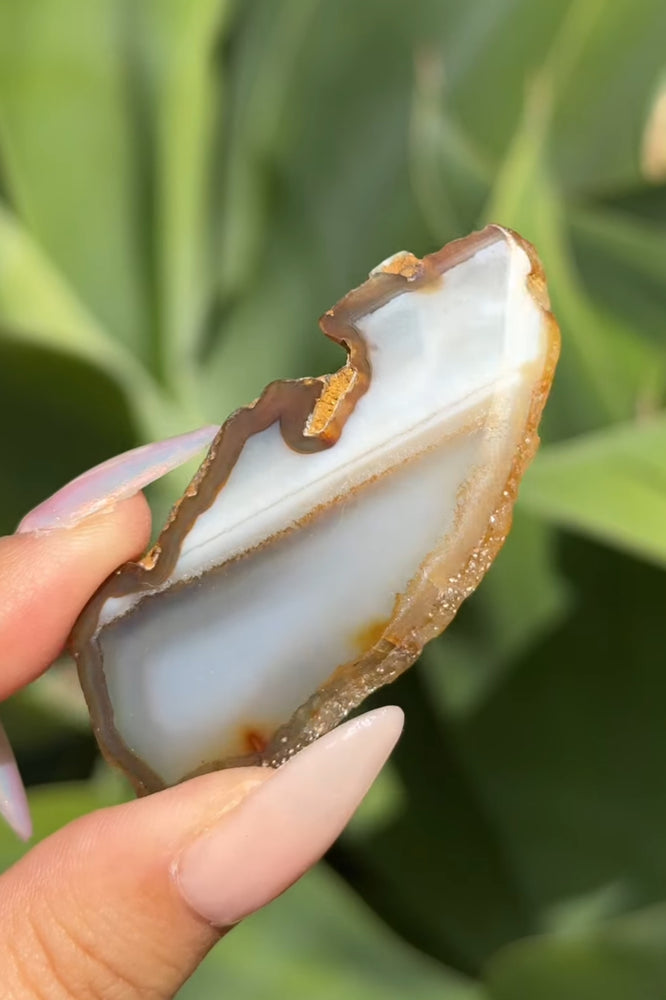 
                  
                    RESERVED LISTING - kelseyplanslife
                  
                