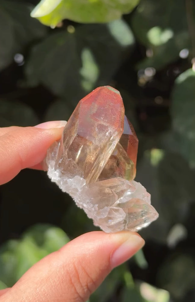 
                  
                    RESERVED LISTING - loliastardust
                  
                