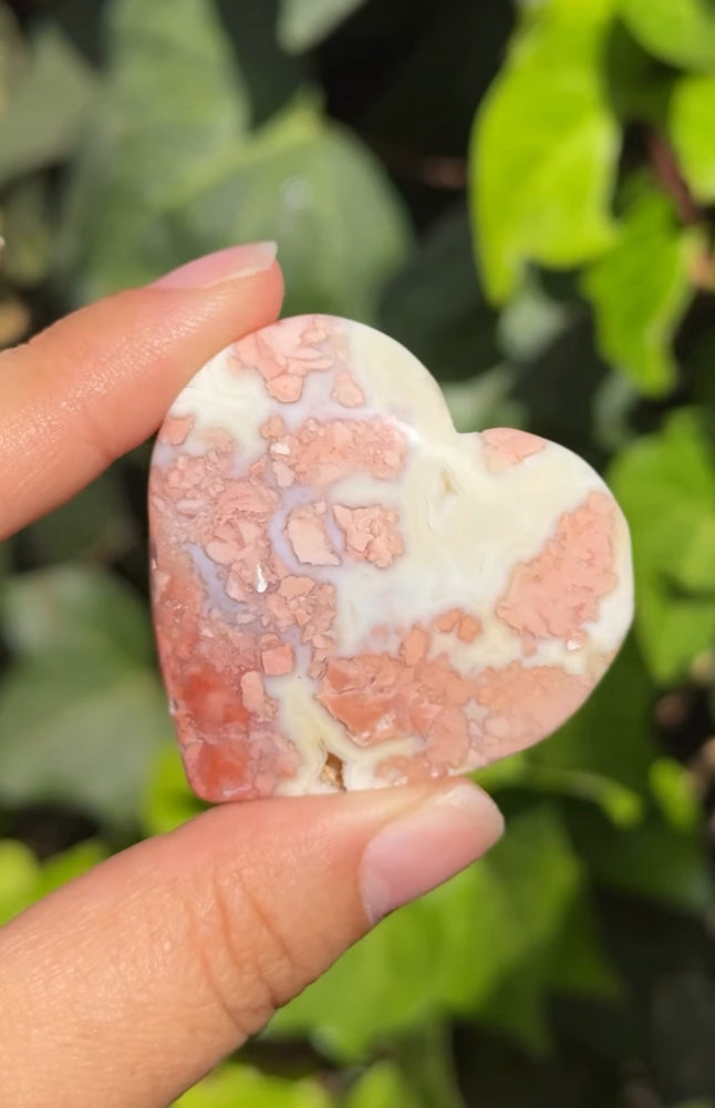 
                  
                    RESERVED LISTING - leftoverlexapro
                  
                