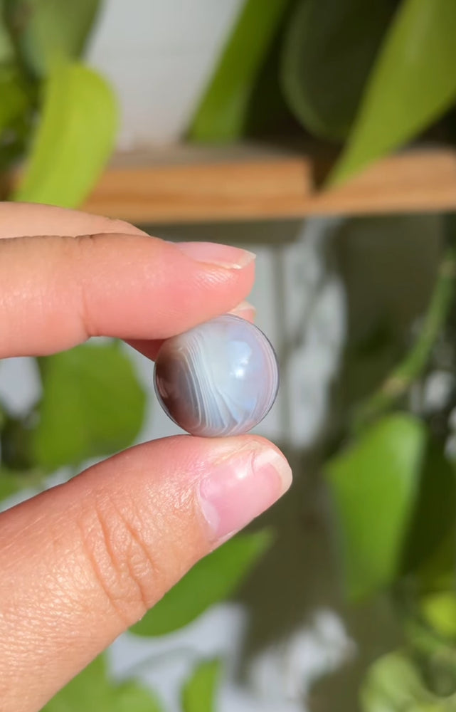 
                  
                    RESERVED LISTING - jval
                  
                