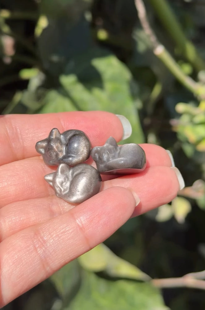 
                  
                    RESERVED LISTING - solarly_challenged
                  
                