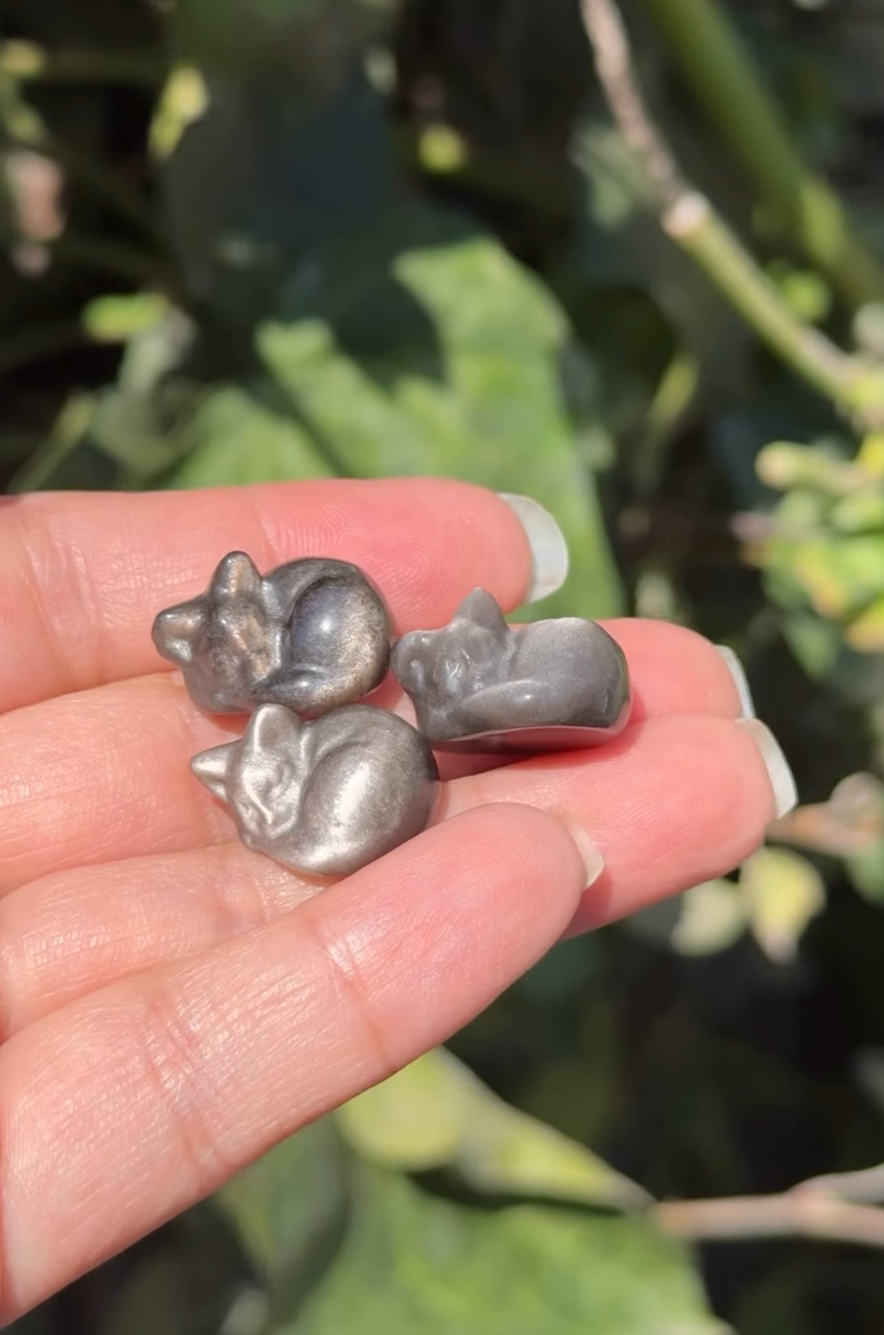 
                  
                    RESERVED LISTING - solarly_challenged
                  
                